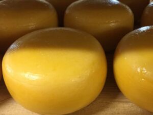 Kaasboerderij Jongenhoeve -  Pondskaasje naturel - stuk (500 gram)