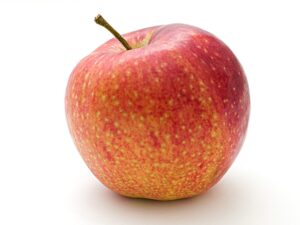 Tuinbouwbedrijf De Gier - Jonagold appels uit Zevenhuizen (1kg)